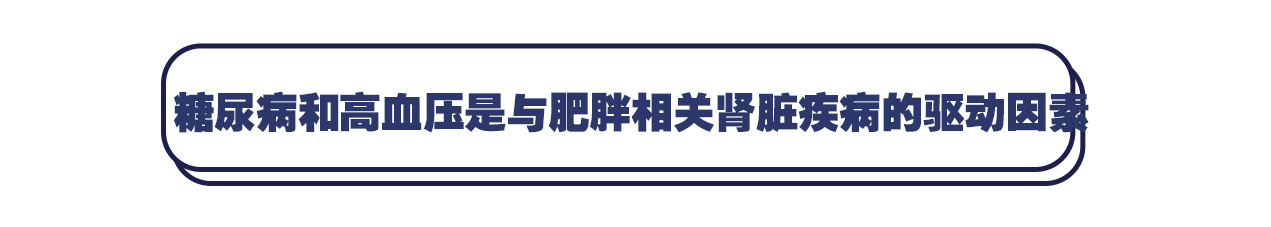 肾脏|牛津新研究：肥胖或会增加肾脏疾病风险