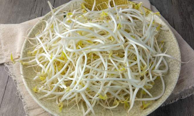 黄豆芽怎么生最快最好 df2a05263979452a844ec8395788feae.jpeg