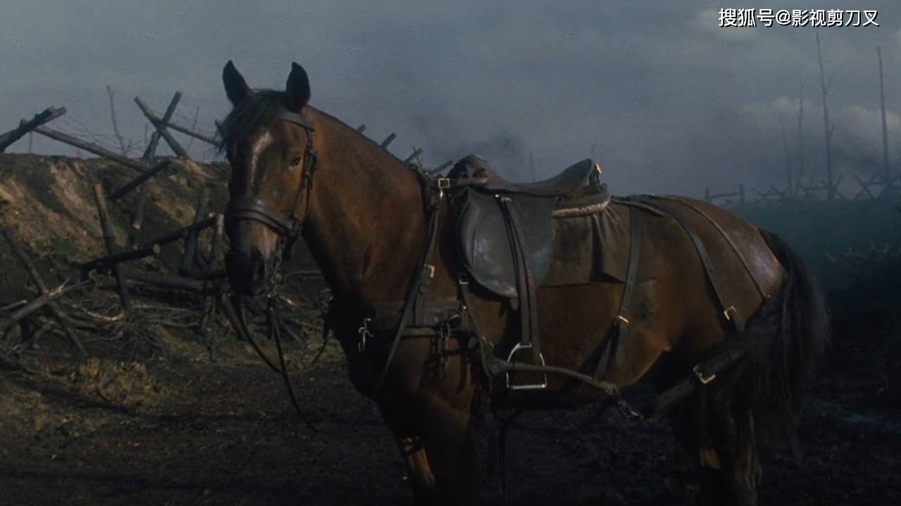 好评如潮的高分战争电影,主角不是交战的任何一方,战马横空出世