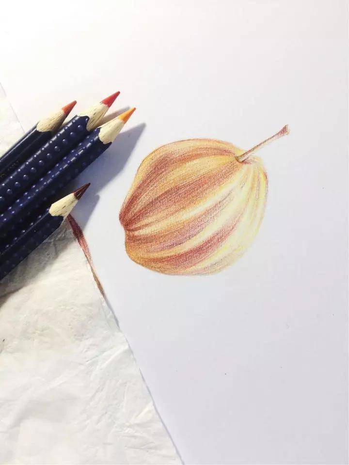 【推荐】适合新手临摹的彩铅画|彩铅画基础教程慢视频
