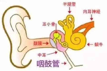 什么是中耳炎发病原因 0948909c4f664f3ab5b34ed0f8e0b05d.jpeg