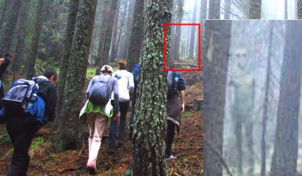 与猎户座附近的小灰人是否同宗源?