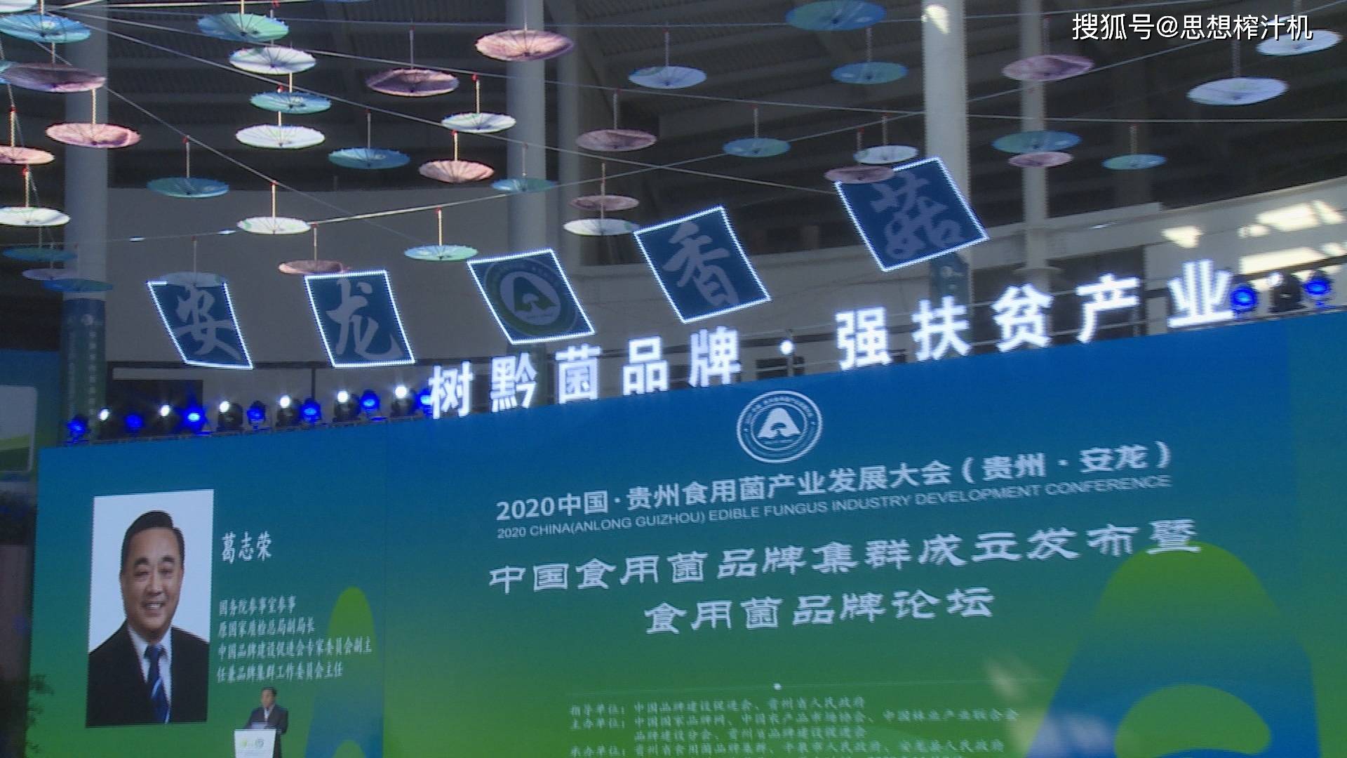 中国食用菌品牌集群在贵州安龙宣布成立_张左己