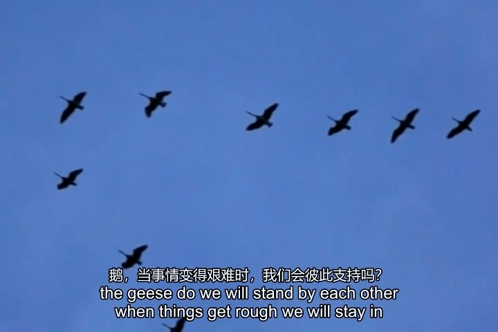 41c75b0d70154432a224ef6a42e0d405.png