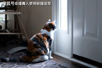 ded164c285014beaaadc56464fef5efd.jpeg