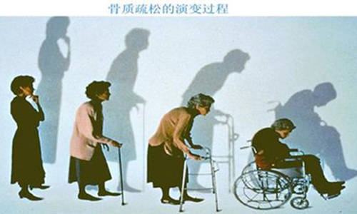 各个年龄段的人的健康 e6557b354ba8427bb9f51a3ae8a1286f.jpeg