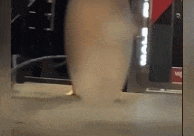 全裸女子大闹健身房,大尺度照片流出:你情绪失控时的