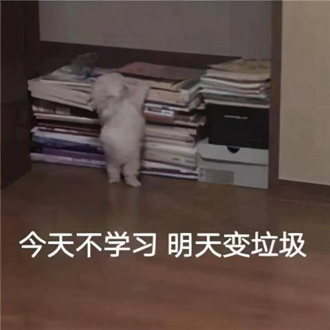 2e6bfbc8eb514845974acc90805f7725.jpeg