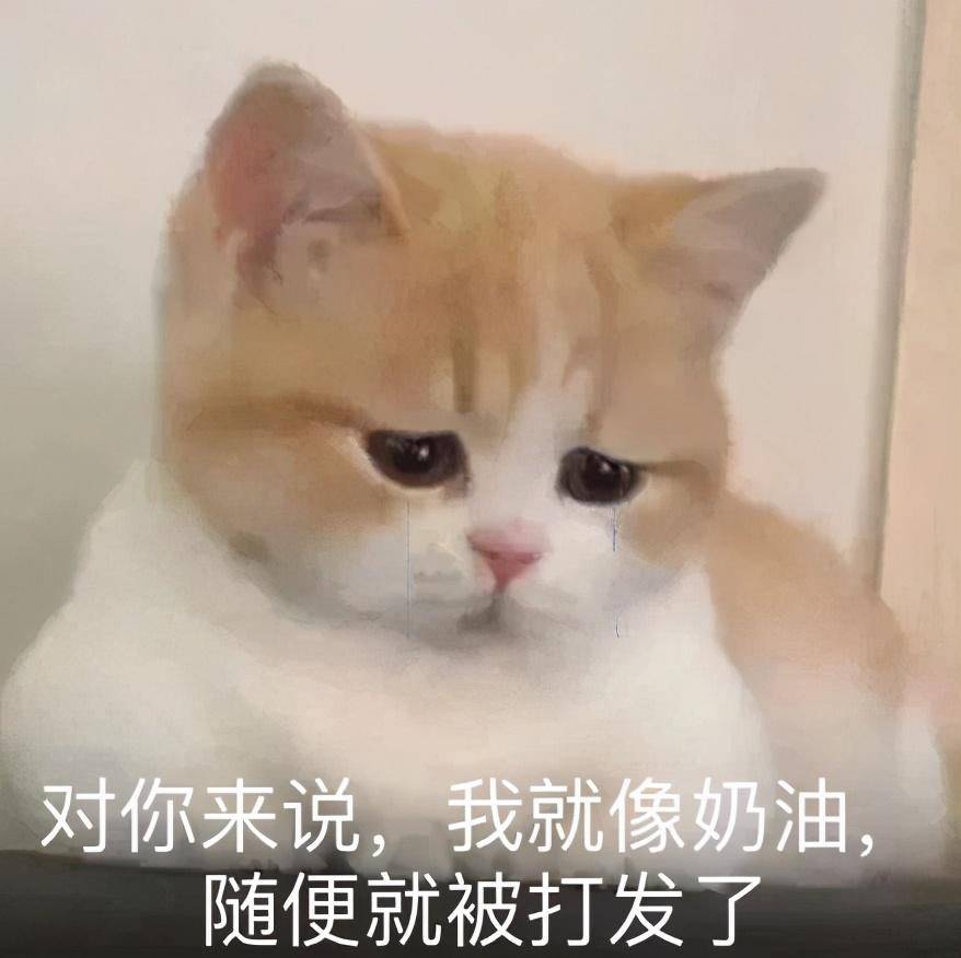 斗图表情包合集|你是亚里士多德的妹妹,珍妮玛士多吗?