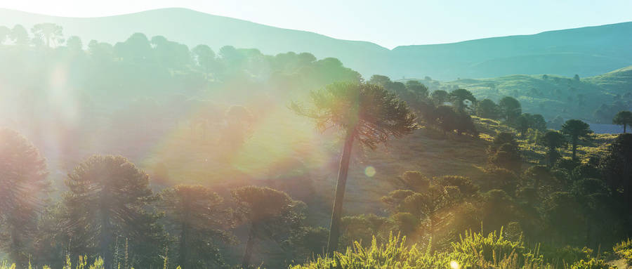 海拔|乐华城翠缇学府带你走进“传奇”的山脉——骊山