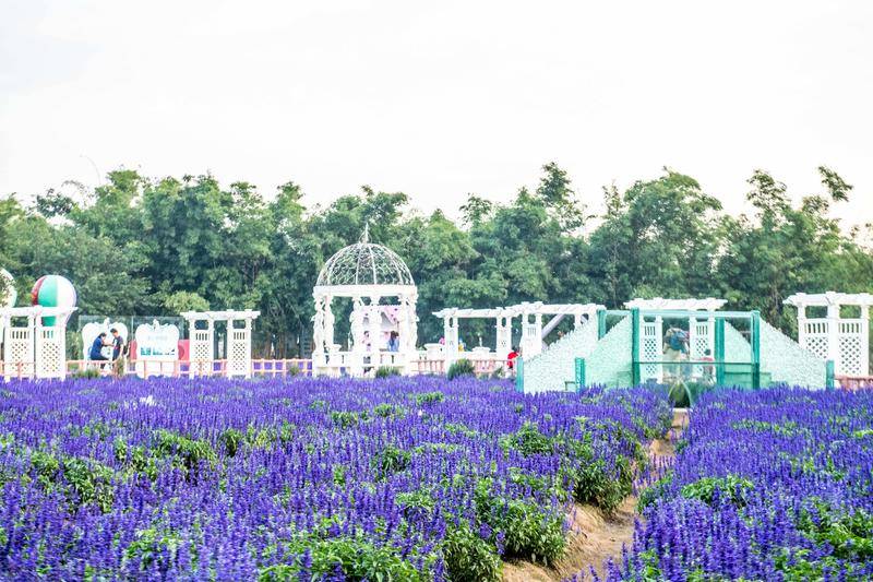 廣東有個以向日葵為主題的樂園，風(fēng)景獨特，像極了彩色的童話世界(圖10)