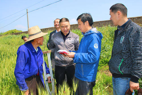 贫困人口发生率_河南伊川县贫困发生率降到零美好“愿景”成现实