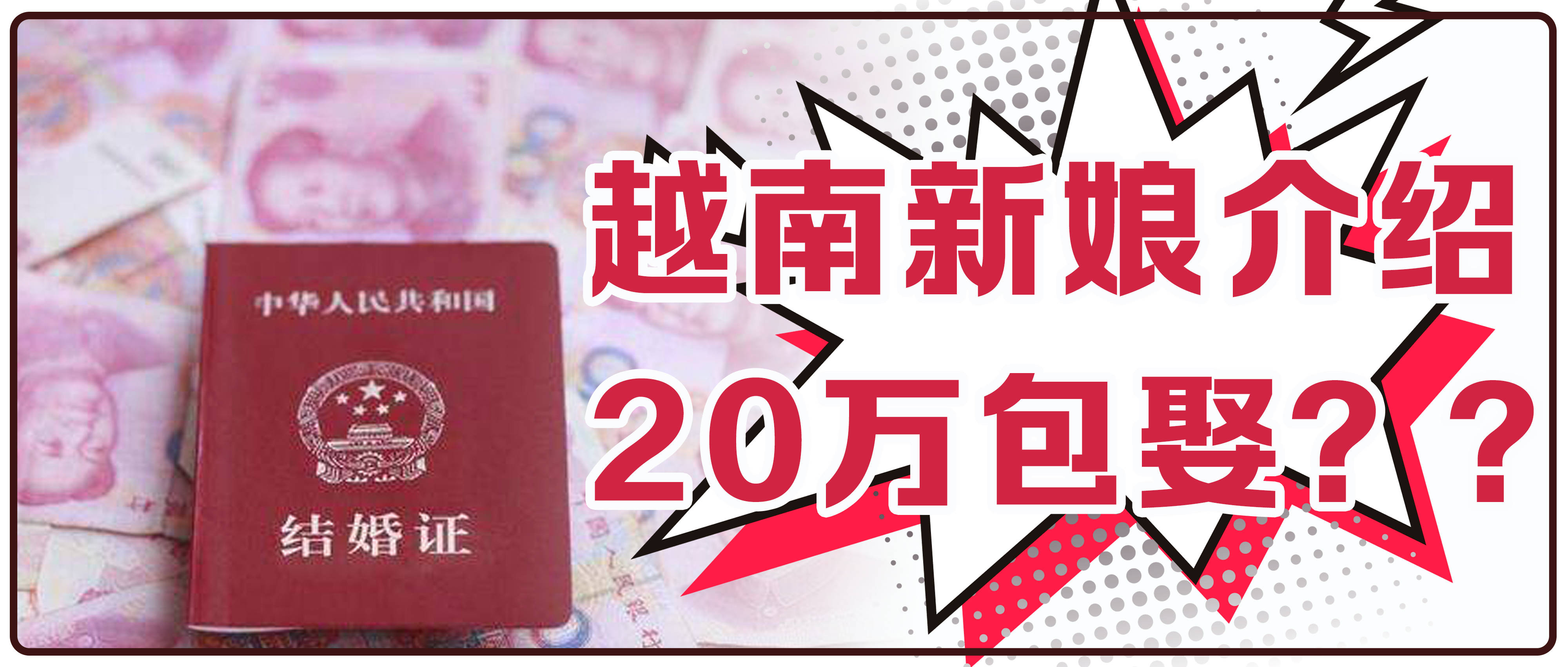 越南2021人口_越南人口分布图