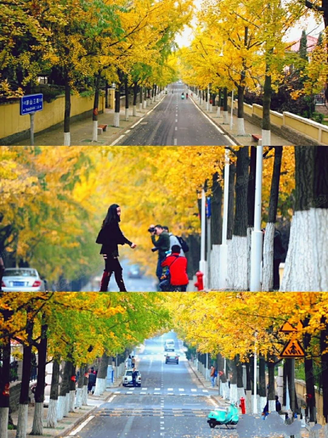 青岛秋天旅游拍照,记得要打卡这些景点哦_八大关