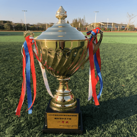 衡阳2020年高中分数_速看!衡阳县2020年中考录取分数线公布(2)