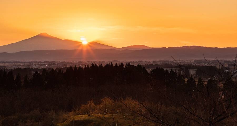 今年家电业双十一市场的多与少-家电圈官网