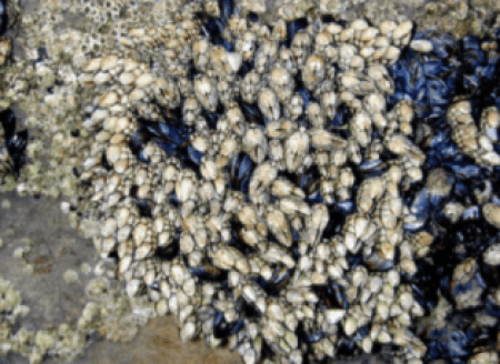 石头儿子怎么找到的 862ccd379ba2440eb6a54d6d3ccfb208.png