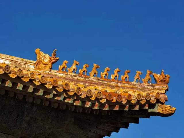 紫禁之巅—跑600公里,致敬紫禁城600周年_故宫博物院