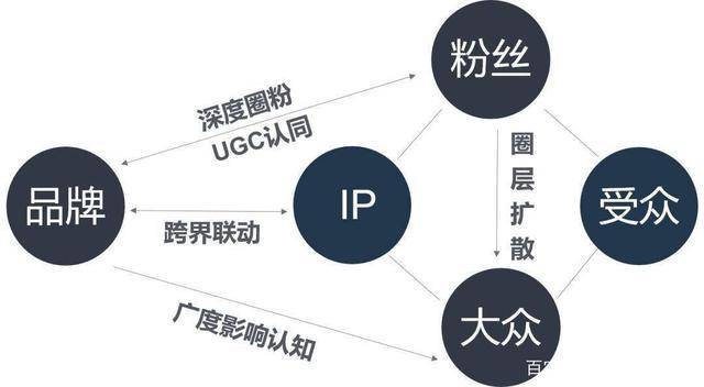 ip营销究竟是什么？标快网络对ip营销的深度总结