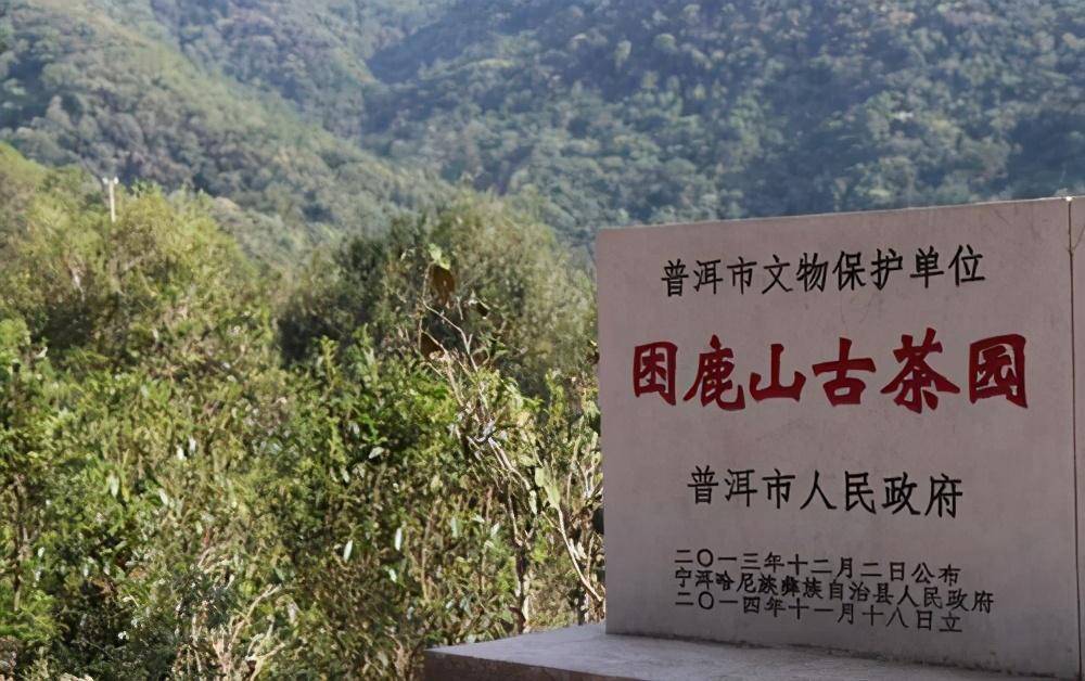 老曼峨倚邦困鹿山这三个产区怎么样可以送人吗