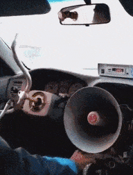 搞笑gif:兄 在美女面前 你的求生欲很强啊