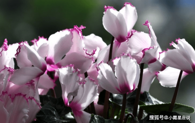 cf163f1cd0064873ad64de480586d8df.png