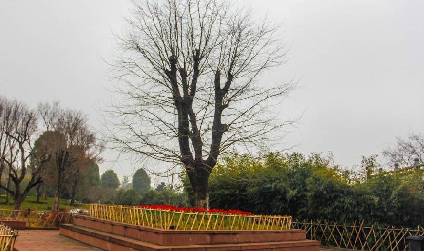 凤台人均gdp_商细蕊程凤台照片(3)