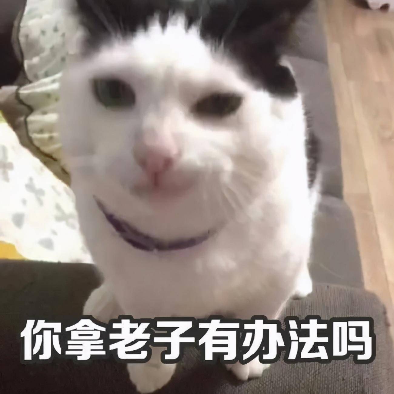 7b9752bb129449d4925eb987c5363875.jpeg
