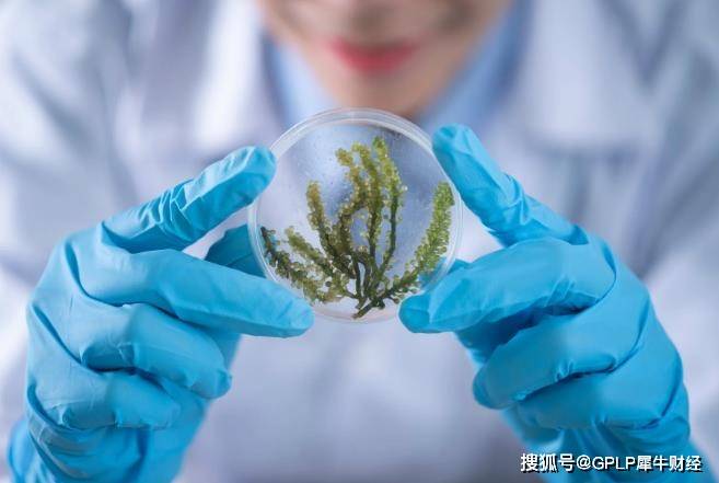 生物|迈克生物申请银行授信9亿元 净利大增但应收账款占比过高