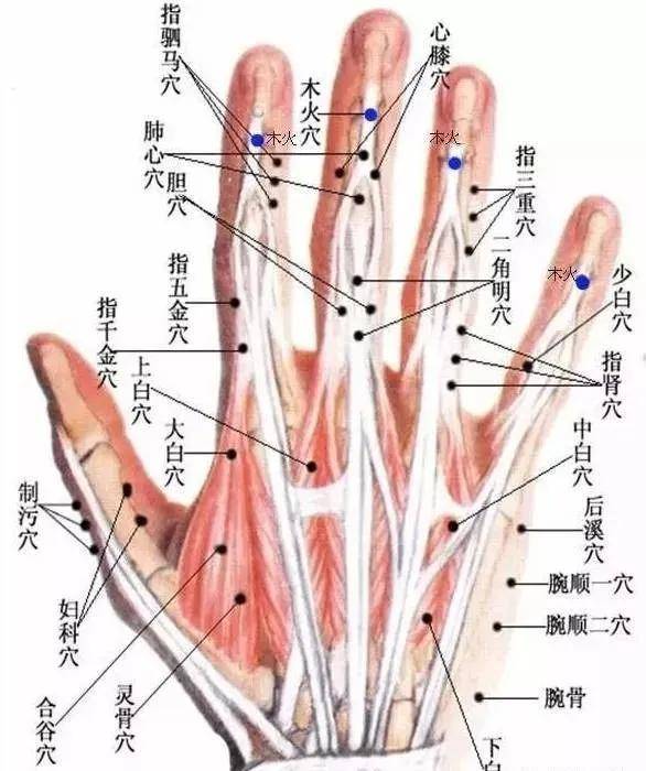 董氏奇穴-经典68穴(收藏起来)