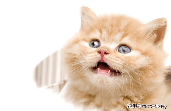 2535d6061d564d178fff9916ca638494.png