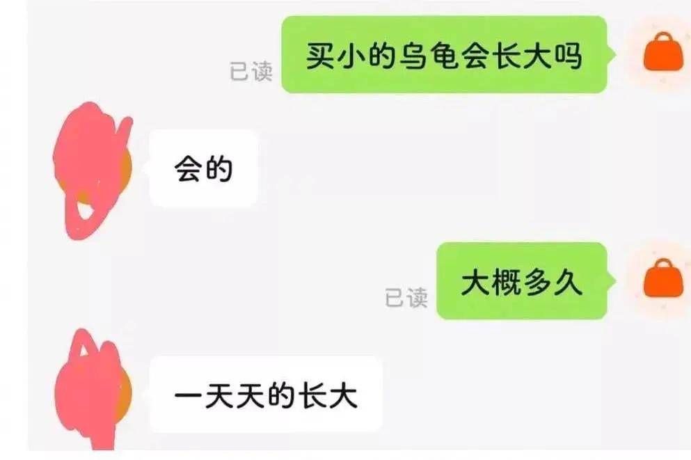 糊弄学 | 我们日常在糊弄什么