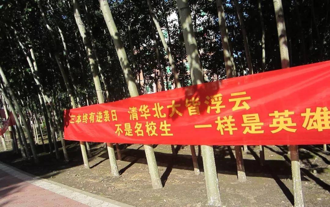 中国大学独立学排名_排名排名排名转换排名排名排名排名_酷学中国网