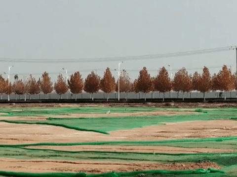 2020年徐水区gdp_2020-2021跨年图片