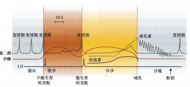 怀孕绞病是什么原理_绞龙砂是什么砂子