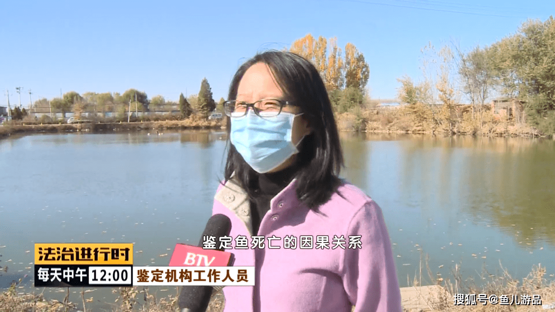 北京一鱼塘3个月发生3起诡异坠车事件 塘主往水里一看崩溃了（图）