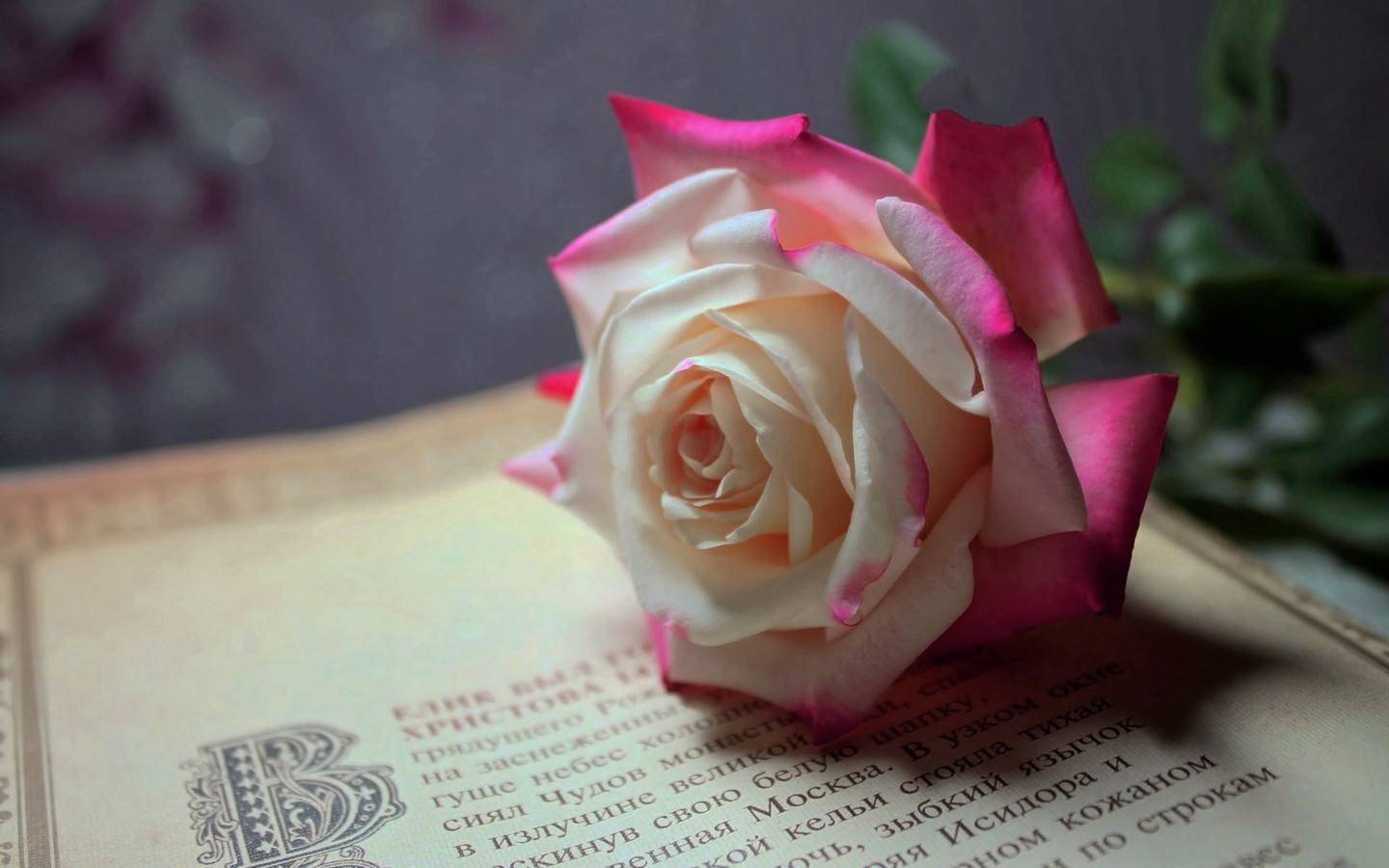 9d8a5045e4dd48cb9aaf3bb011f39388.jpeg