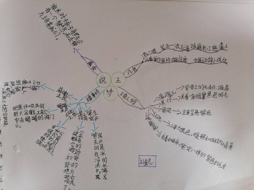 努力过后与美好相遇,偶然的相遇在阅读王阅读能力班与