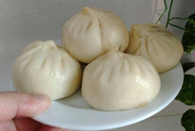 好吃的包子馅有哪些种类 0e69797054fd4a7d943b29b2e9695835.jpeg