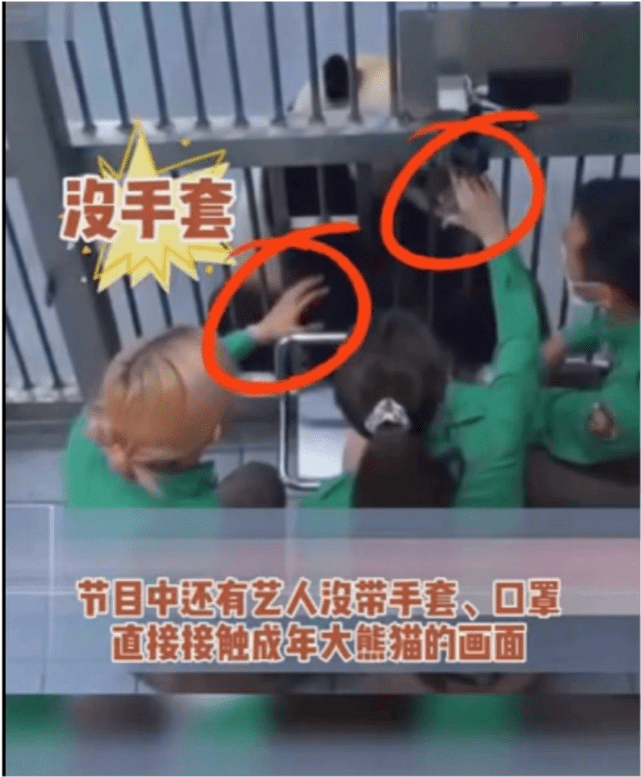 157e6e002bff41599aa10fdfdd840eb2.png