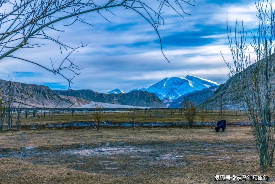 塔什库尔干县2020年G_塔什库尔干县地图