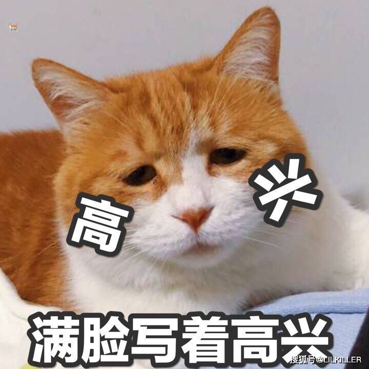 57ffe84beea8421483350993558cceb8.jpeg