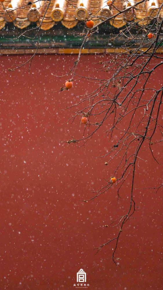 故宫第一场雪美哭了!