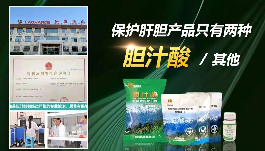 史无前例价值1125元肉禽专用胆汁酸免费领够用一批鸡限额100名