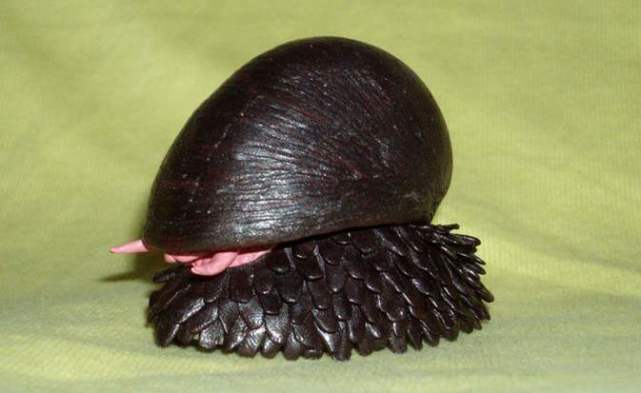 蜗牛的眼睛怎么做 1b1388b4879e484483cf54dbb6e52f55.jpeg