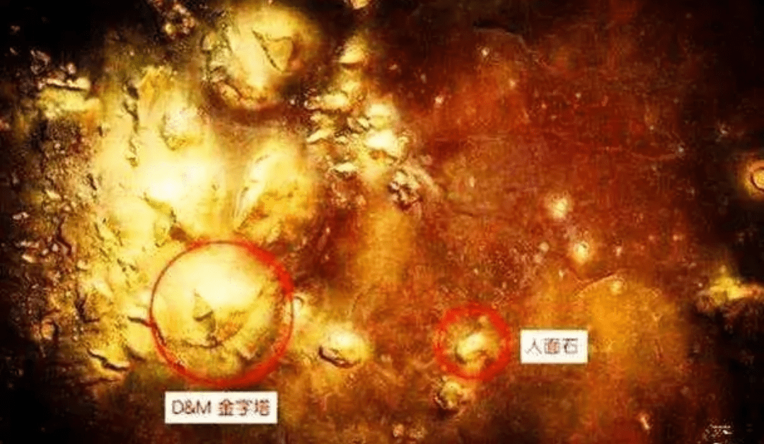 特斯拉自己承认过是金星人 特斯拉真的是金星人？