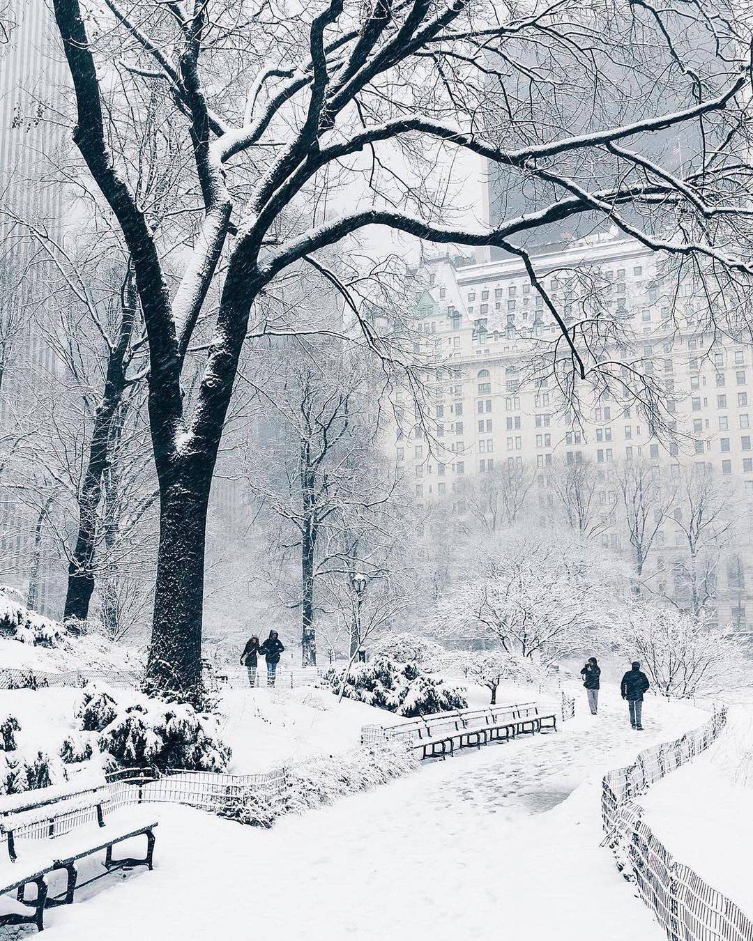 美国纽约的冬天雪景,献给初步入冬成功的广东人