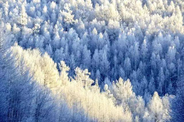 去什么俄罗斯，这里藏着中国最美的冬天！