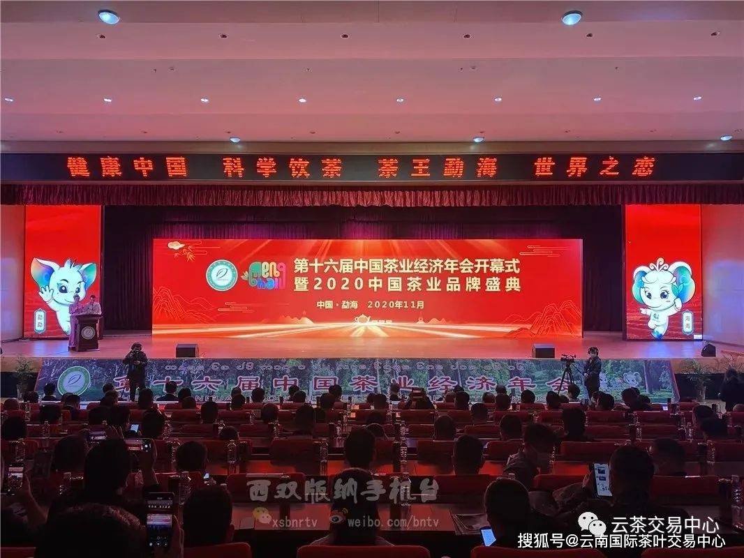 西双版纳2021gdp_2021年西双版纳泼水节(3)