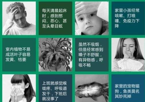 fca73b6a590142d2a2a62d25199bcfdb.jpeg